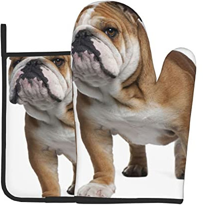 Hitzebeständige Ofenhandschuhe und Topflappen, 2er-Set, Englisch-Bulldogge, bedruckt, rutschfest, wasserdicht, für Backen, Kochen, Grill, 2 Stück