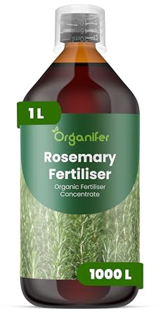 Fertilizzante Liquido Per Rosmarino - 1L - NPK 2-1-8