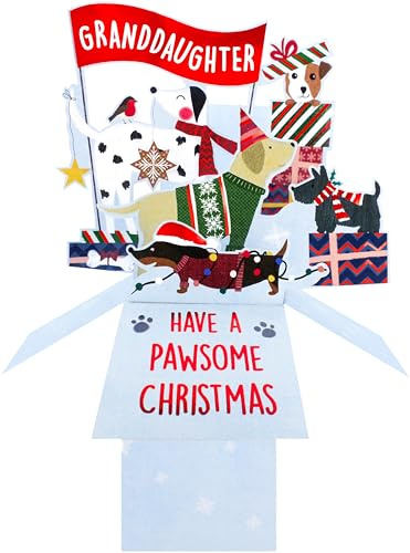 Clever Cubes Pop Up Granddaughter Pawsome Dogs Fun Christmas Card 3D Xmas Card XCU010B