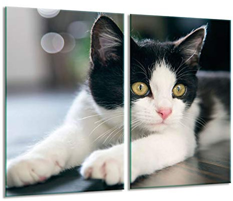 Herdabdeckplatten Ceranfeldabdeckung Spritzschutz Glas 2x30x52 Katze