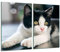 Herdabdeckplatten Ceranfeldabdeckung Spritzschutz Glas 2x30x52 Katze