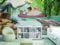 Komar Photo Wallpaper Jungle Book Swimming with Baloo Size 368 x 254 cm