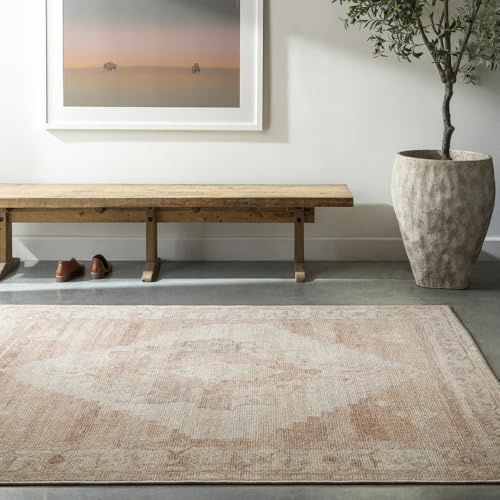Livabliss x Becki Owens Luca Vintage - Area s Living Room 160x213 cm, Dining Floor, Kitchen, Traditional Multicoloured Boho, Easy Care Pile, Bohemian Large, Ivory, Coral Pink, Brown