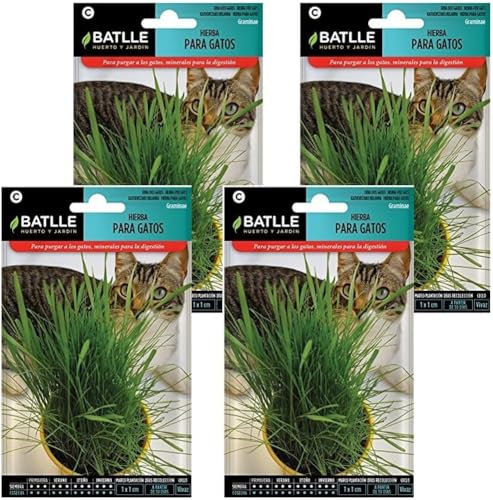 Semillas de hierba pra gatos de Semillas Batlle PACK (4)