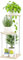 KAZITOO 3 Tier Tall Plant Stands Corner Indoor, Metal Flower Pots Shelf for Multiple Plants, Tiered Plant Holder Display Rack for Garden Patio Office Living Room