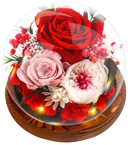 Touloube Regalo per la Regina Della Casa - Rosa Stabilizzata Vera Regalo per la Festa Della Mamma, Avanzate Regalo Donna, Eterna Fiore Bella e la Bestia con Luci LED, Regalo Rosa Moglie Mamma Nonna