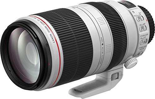 Canon EF 100-400 mm f/4.5-5.6 L IS II USM Lens for Camera, Black/White (Renewed)