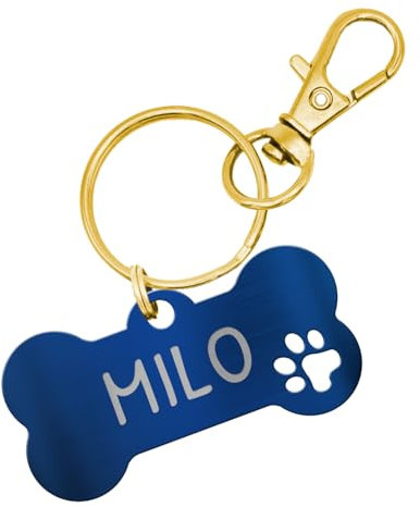 Personalisierte Hundemarke aus Edelstahl – Knochenform mit Pfotenausschnitt – Hochwertige Wunschgravur – Rostfrei, Langlebig & Wetterbeständig – in verschiedenen Farben erhältlich (Blau)