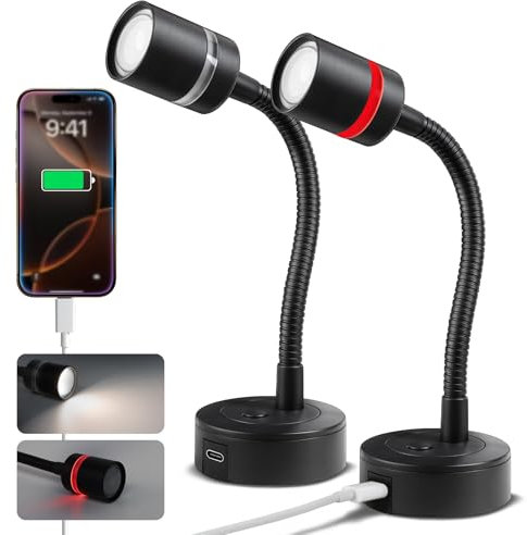 acegoo 2 x Leselampe 12V Wohnmobil LED Lampe, Dimmbar 4000K & Rotes Nachtlicht Eingebautes Typ-C Ladegerät, Flexible Schwanenhals für Boot Wohnwagen Camper Yacht Innenbeleuchtung, Wandmontage (Kurz)
