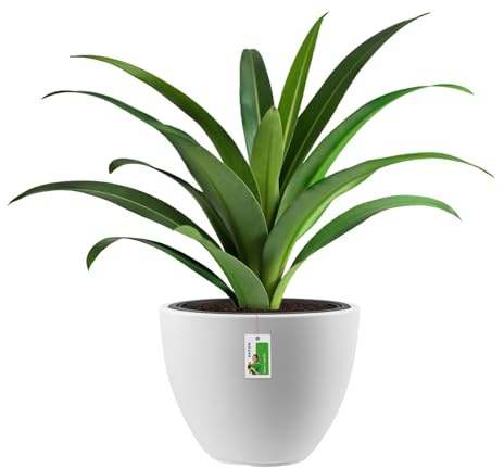 Kunststoff Blumentopf 25l im Industrial Design - 40 x 30 cm - Blumenkübel mit Einsatz, robuster Pflanztopf für Moderne Arrangements, Weiß