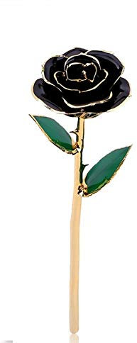 FILFEEL 24K Gold Rose, Dipped Flower Gift for Her Made of Fresh Rose, Last Forever Mother's/Thanksgiving/Christmas/Valentine's/Birthdays Party/Graduations/Weddings (Black#2)