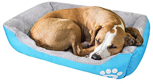 wuuhoo® I Hundebett Lucky 70cm I Flauschiges und gemütliches Hundesofa I für mittelgroße Hunde I Haustierbett Waschmaschinen geeignet hellblau