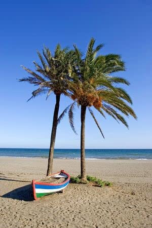 adrium Holz-Bild 40 x 60 cm: Buntes Ruderboot und Palmen am Sandstrand an der Costa del Sol in Spanien(2056284)