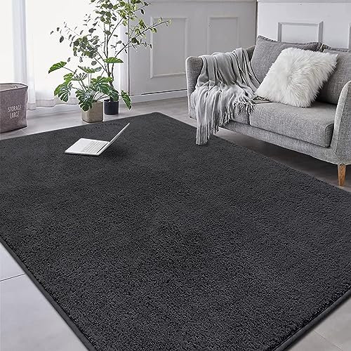 RTBQJ-AT Teppich Wohnzimmer 200x300 cm Microfiber Weicher Flauschiger Kurzflor, Rugs for Living Room Moderner Waschbar Rutschfest, Hochflor Anthrazit