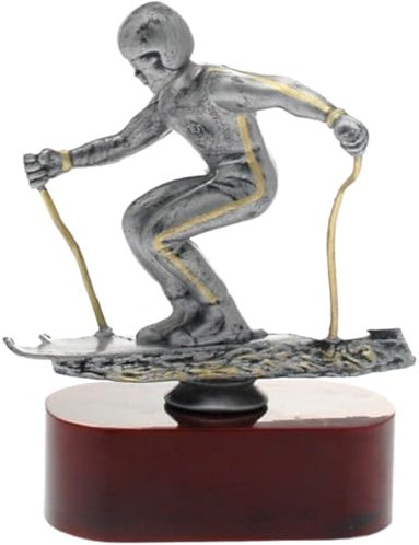 Hole Gadget Premiazioni Personalizzate Sportive Coppe e Trofei Figurativi per Tutti Gli Sport con Targhetta Personalizzata Premio Riconoscimento per Eventi Specifici (Sci)