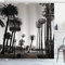 ABAKUHAUS Palme Duschvorhang, Los Angles Park View, Stoffliches Gewebe Badezimmerdekorationsset mit Haken, 175 x 220 cm, Dunkelbraun Weiß