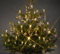 Trango 24-flammig 340047 Außen LED-Christbaumkerzen Outdoor Weihnachtskerzen warmweiß leuchtend – 24 Kerzen mit Stecksystem Außenbereich leuchtende Weihnachten - Christmas Candle LED auswechselbar