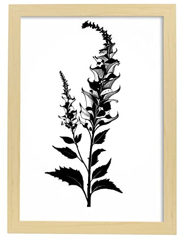 Nacnic Fingerhut 1 Poster im nordischen Stil. Botanik Illustrationen mit Blumen und Pflanzen in Schwarz und Weiß. Innenarchitektur und Dekoration. A3 Holzrahmen.