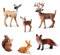 WANGCL Lot de 6 figurines d'animaux de la forêt pour décoration de gâteaux sur le thème de la forêt