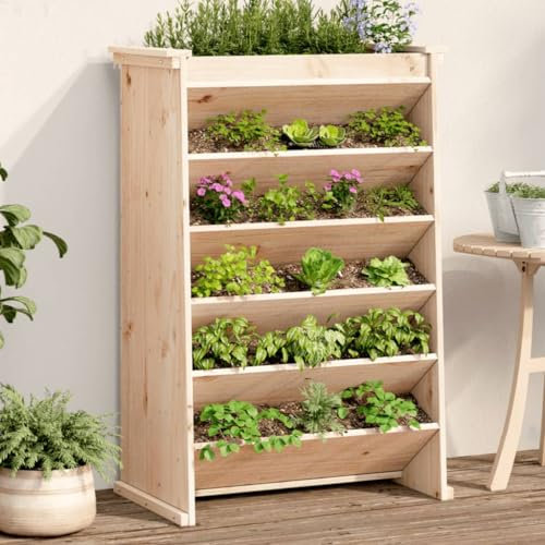 Brokky Fioriera per Erbe 6 Ripiani 69x40x101,5cm Legno Massello Pino-Fioriera Verticale in Legno,fioriera di qualità Superiore, per terrazze, balconi e Giardini, aiuola Verticale per Frutta, Fiori ed