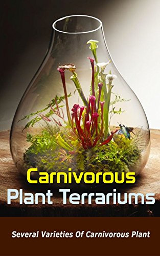 Carnivorous Plant Terrariums: Several Varieties of Carnivorous Plant