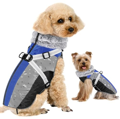 Eyein Hundemantel Winter mit Geschirr, Wasserfest Winddicht Reflektierend | Wärmend Fleece Hundejacke für kleine, mittlere und große Hunde, Welpenweste für Spaziergänge im Freien (Blau, XS)