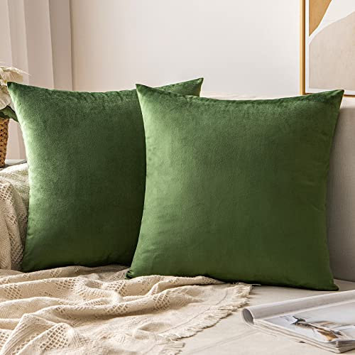 MIULEE Samt Kissenbezug Dekokissen Kissenhülle Zierkissenbezug Dekorative Zierkissenhülle mit Verstecktem Reißverschluss 45x45 cm 2er Set Matcha Grün