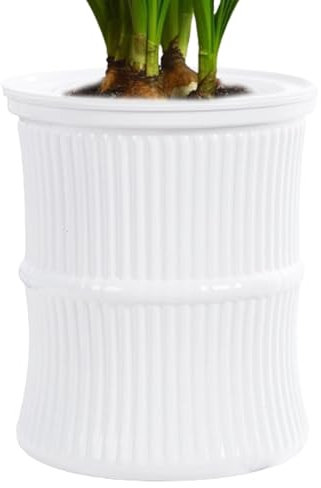 Pot de fleurs pour d'intérieur, pot de fleurs pour l'intérieur, pots pour succulentes, réservoir d'eau pour , pot d'arrosage anti-fuite pour l'entrée, la salle de bain