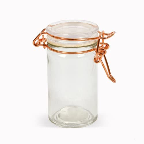 FabFinds Spice Jar Air Tight Clip Top Jar Preserve Storage Jar (6X Rose Gold 3oz)