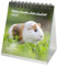 Meerschweinchenzauber Kalender für 2025 Format 10cm x 10cm Meerschweinchen - Geschenkset Inhalt: 1x Kalender 1x Weihnachtsanhänger 1x Grußanhänger (gesamt 3 Teile)
