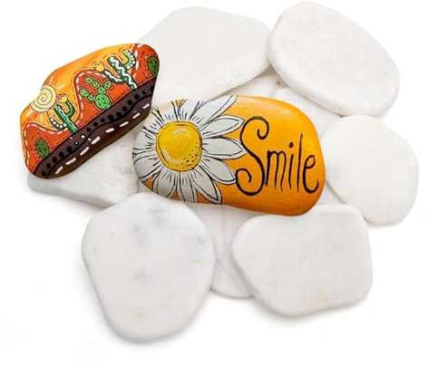 DAWRIS 12 Stück Kieselsteine zum Bemalen Flach, 3-8 cm Natur Dekosteine,Kies Dekosteine Naturstein,DIY Rocks Beach Pebbles Malsteine Für Bunte Malerei Aquarien Haus Gartendekoration