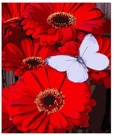Cooiiye Rote Blumen Malen Nach Zahlen Erwachsene Acrylfarbe auf Leinwand Malen Nach Zahlen,DIY Rahmen Handgemalt Ölgemälde Set mit Pinseln Paint by Numbers Kunsthandwerk Home Decor 55x70cm