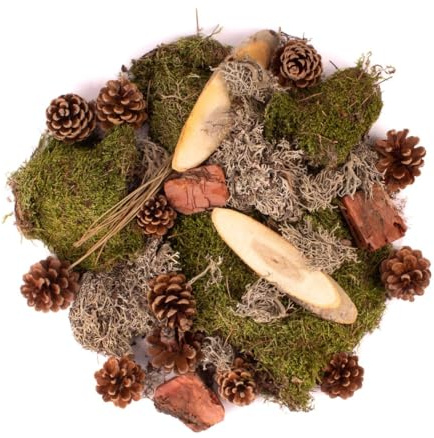 INNA-Glas Dekomoos QUIKISA, Zapfen, Holz, Flechten, grün-braun, 500g | Natur Streudeko
