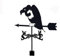 ANSAIR Girouette en Acier Inoxydable girouette Sanglier Colibri et Fleur avec revêtement antirouille Piquet de Jardin décor Artistique indicateur de Direction du Vent, Colibri et Fleur(Vulture)