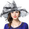 VECRY Femme Église Derby Robe Fascinator Mariée Baptême Fête Chapeau de Mariage (42b-Noir)