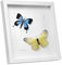 EUGAD Cadre Photo, 3D, Vitre en Verre avec Papier Passe-Partout, Cadre de Boîte d'Ombre pour Objets jusqu'à 1,5cm, en Bois, 20x20cm, Blanc
