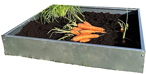 Indoor Outdoor Bellamy Garden Patch Planter - Raised Garden Beds Outdoor Veg Seeds - Grow Garnering and Farming Plant Pot for Planting Vegetable, Herbs, Flowers and More (100 mm)