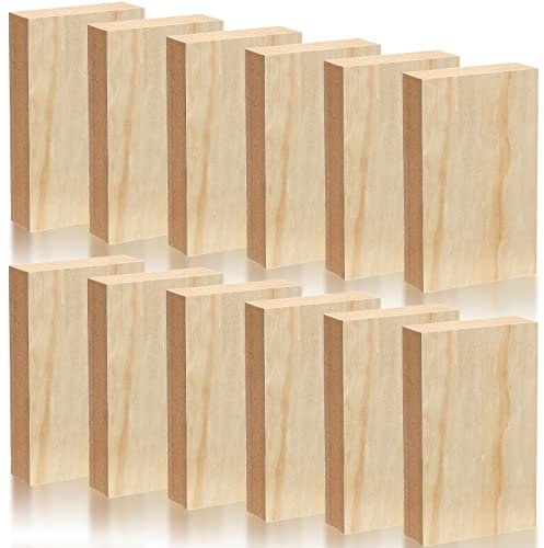 DEAYOU 12 Stück MDF-Holzplatte, unlackierte Holzrechteck zum Basteln, mitteldichte Faserplatte, 2,5 cm dicke Holzblöcke, Spanplatten zum Gravieren, Malen, Kunst, Handwerk, Chipschnitzen, 13 x 8 cm