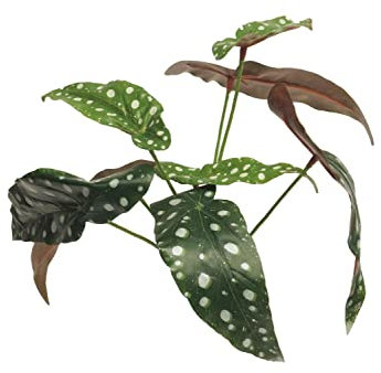 artplants.de Artificial begonia maculata NILING, spike, green-white, 14/35 cm - Decorative begonia maculata