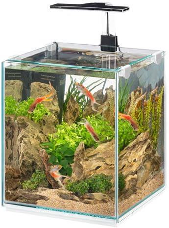 Hydor 18 Liter Aquarium mit dimmbarer LED-Lampe, 3 Modi (Tag, Nacht und Gemischt), leisem Innenfilter, Glasaquarium 26 x 26 x 42 cm. Aus Glas