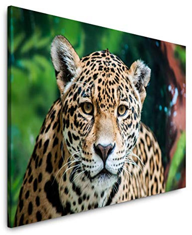 Paul Sinus Art 60x40cm Jaguar in der Natur Wandbild - Tiere