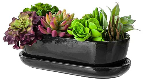 botle Macetero negro cactus con plato, ovalado, 13 cm x 27,5 cm x 8 cm, superficie brillante, cerámica moderna glamour