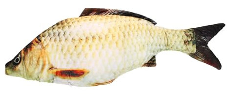 Zerodeko Karausche Kissen Fisch Kissen Gefüllte Fischpuppe Fisch Stofftier Gefälschter Fisch Lebensechtes Fischspielzeug Fischkissen Simulation Cartoon-Fisch Plüschpuppe Beissen Kind