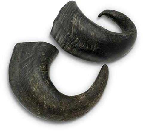 Wild Eats Water Buffalo Horn No Hide Dog Bones & Chews (All Natural Single Source Protein, Grain Free Treat, Long Lasting Dog Chews & Bones (2 Pack, Medium-Horn)