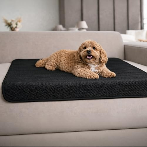 Dreamzie Hundedecke Wasserdicht Bett, Auto, Outdoor 80x100cm - Reversible und Maschinenwaschbar Hundedecke Sofa aus Sherpa Fleece - Schwarz