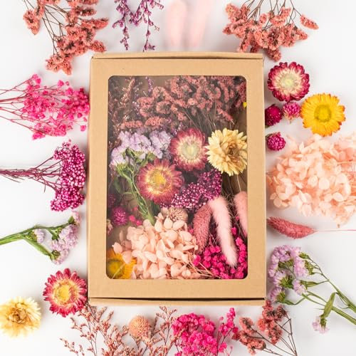 LAUMOE Getrocknete Blumen, Trockenblumen, Trockenblumen Zum Basteln Mini Trockenblume Bunt Set für Tischdeko DIY Epoxidharz Scrapbook Zubehör (H2)
