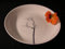 Dibbern SONDERAKTION - Originalware FBC Black Forest Teller tief 22,5 cm