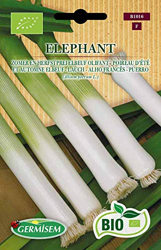 Germisem Orgánica Elephant Semillas de Puerro 2 g, ECBIO1016