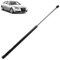 ROBUST Gasfeder Motorhaube Vorne 772mm 180N für A6 Allroad C6 Avant 2004-2011 4F0823359 4F0823359A