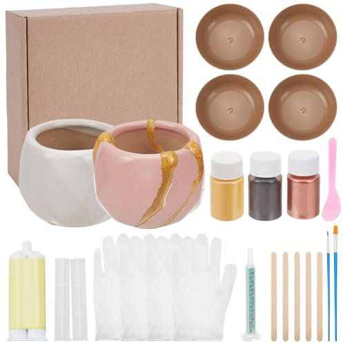 WEBEEDY Kintsugi Repair Kit for Beginners,25 Pcs Complete Kintsugi Repair Kit for Ceramics and Porcelain Repair,Japanese Art Kintsugi Craft to Revive Your Broken Ceramic Pottery Mug Bowl Glass